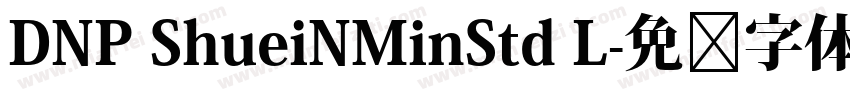 DNP ShueiNMinStd L字体转换